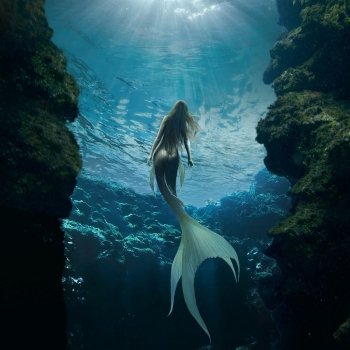 The Mermaid - main view