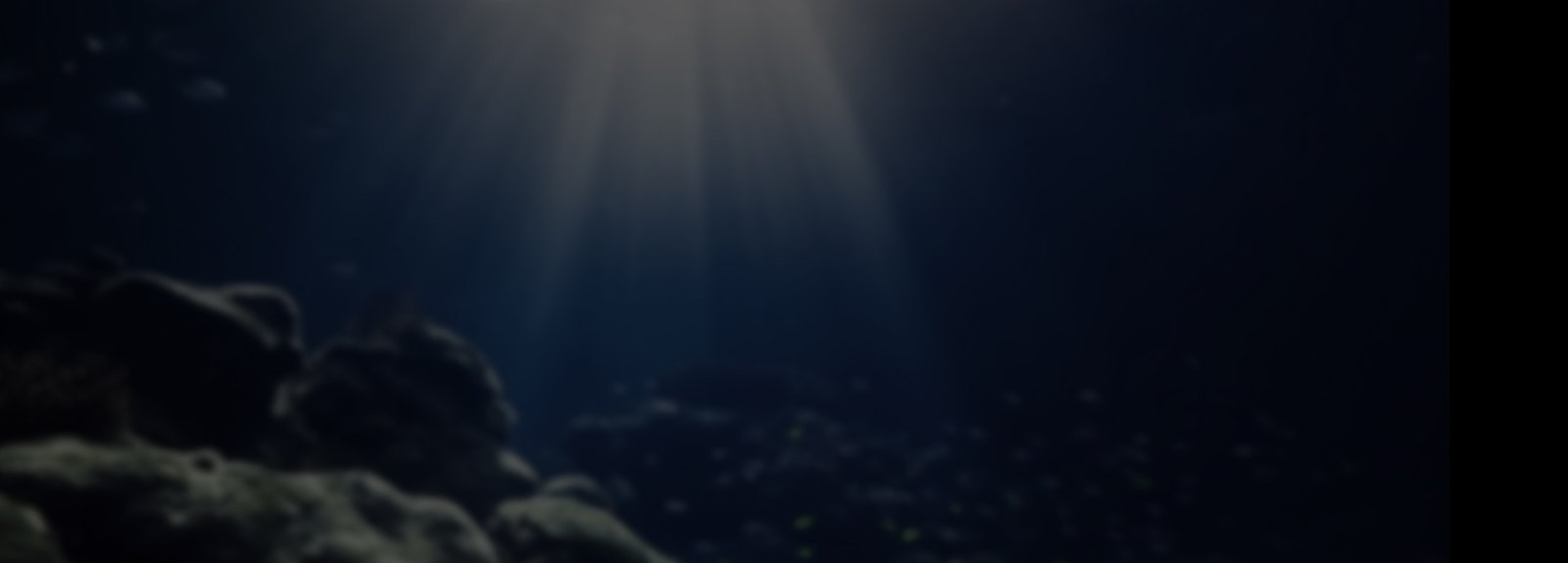 The Mermaid - atmospheric view